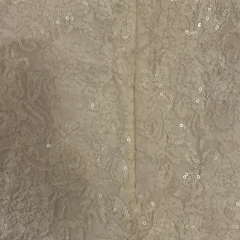 Gorgeous lace sequin tunic NWT - Picture 6 of 10